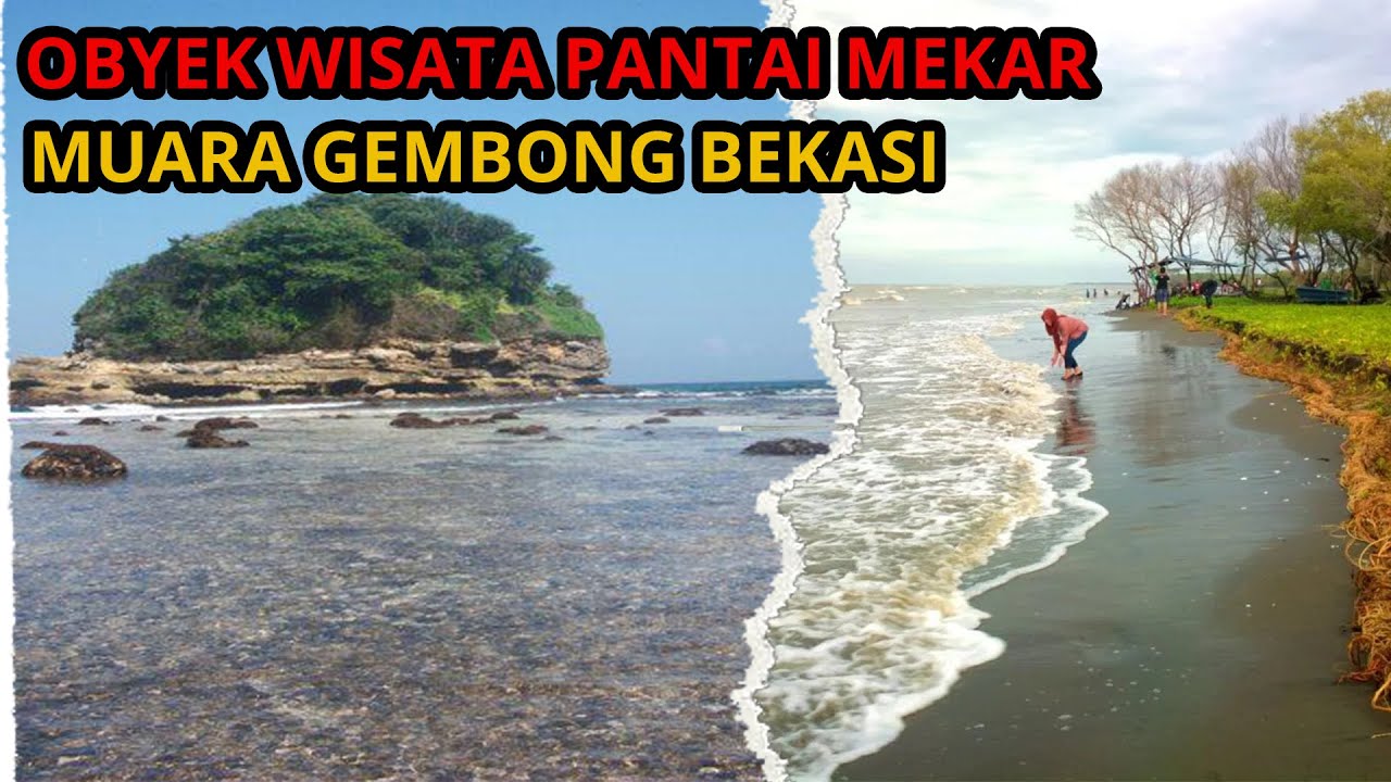 Melihat Keindahan Pantai Mekar Di Muara Gembong Bekasi Jabar News