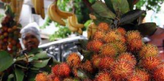 Rambutan Si Batuwalang