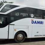 Layanan angkutan mudik DAMRI