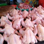 Harga Ayam