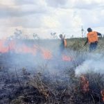 Petugas berusaha memadamkan api di area lahan hutan