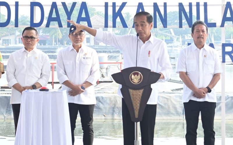 Modeling Budidaya Ikan Nila Salin Di Karawang, Presiden Jokowi ...