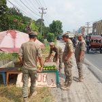 Satpol PP Serdang Bedagai