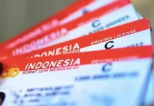 Surat Izin Mengemudi atau SIM (Foto: Net)