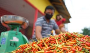 Harga cabai di Kota Sukabumi mengalami kenaikan