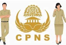 Ilustrasi pendaftaran CPNS Pemkab Purwakarta 2024 (Foto Net)