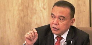 Wakil Ketua DPR RI, Sufmi Dasco Ahmad