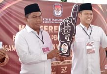 Pilkada Serdang Bedagai