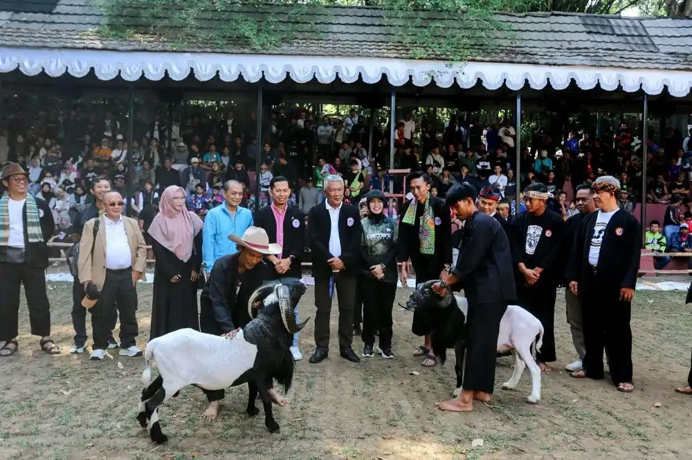 Pemkot Bandung dan HPDKI Kota Bandung menyelenggarakan Lomba Ketangkasan Domba "Wali Kota Bandung Cup” di Lapangan Pamidangan Babakan Siliwangi (Foto:Humas Kota Bandung)