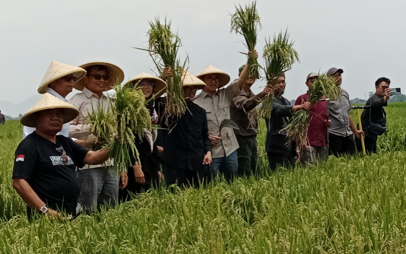 Budidaya Digjaya