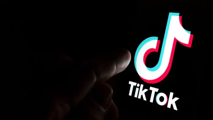 Platform media sosial TikTok (Foto: Net)