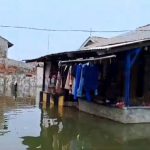 Banjir rob di wilayah utara Kabupaten Bekasi