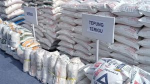 Tepung terigu