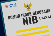 Nomor Induk Berusaha bagi UMKM