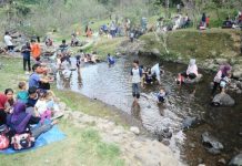 Pengunjung memenuhi Kebun Raya Cibodas Cianjur