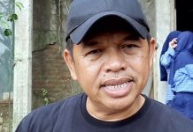 Dedi Mulyadi