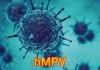 Virus Human Metapneumovirus atau HMPV