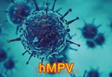 Virus Human Metapneumovirus atau HMPV