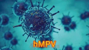 Virus Human Metapneumovirus atau HMPV